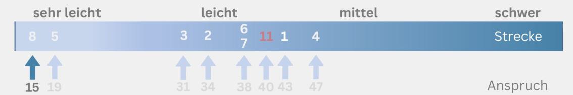 Kondition MTB-Juniortour 8