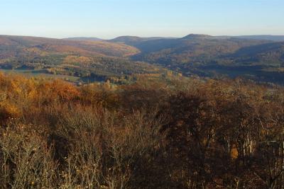 DSC06735_bearbeitet-1