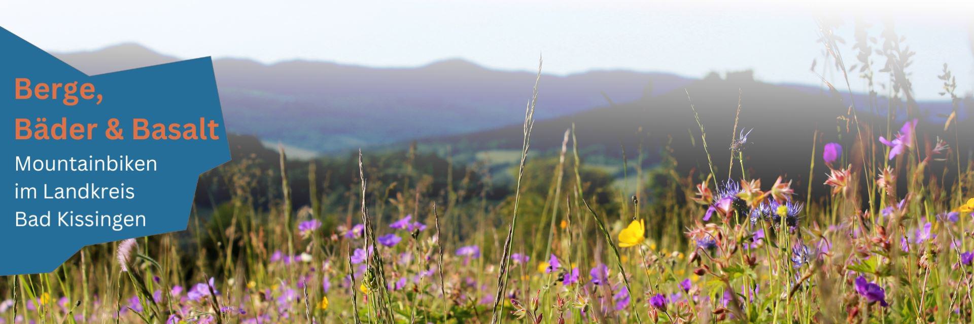 Mountainbike Touren Strecken Rhön Bad Kisisngen