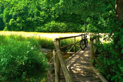 Steg, Brücke, Thulba Mountainbiketour Rhön